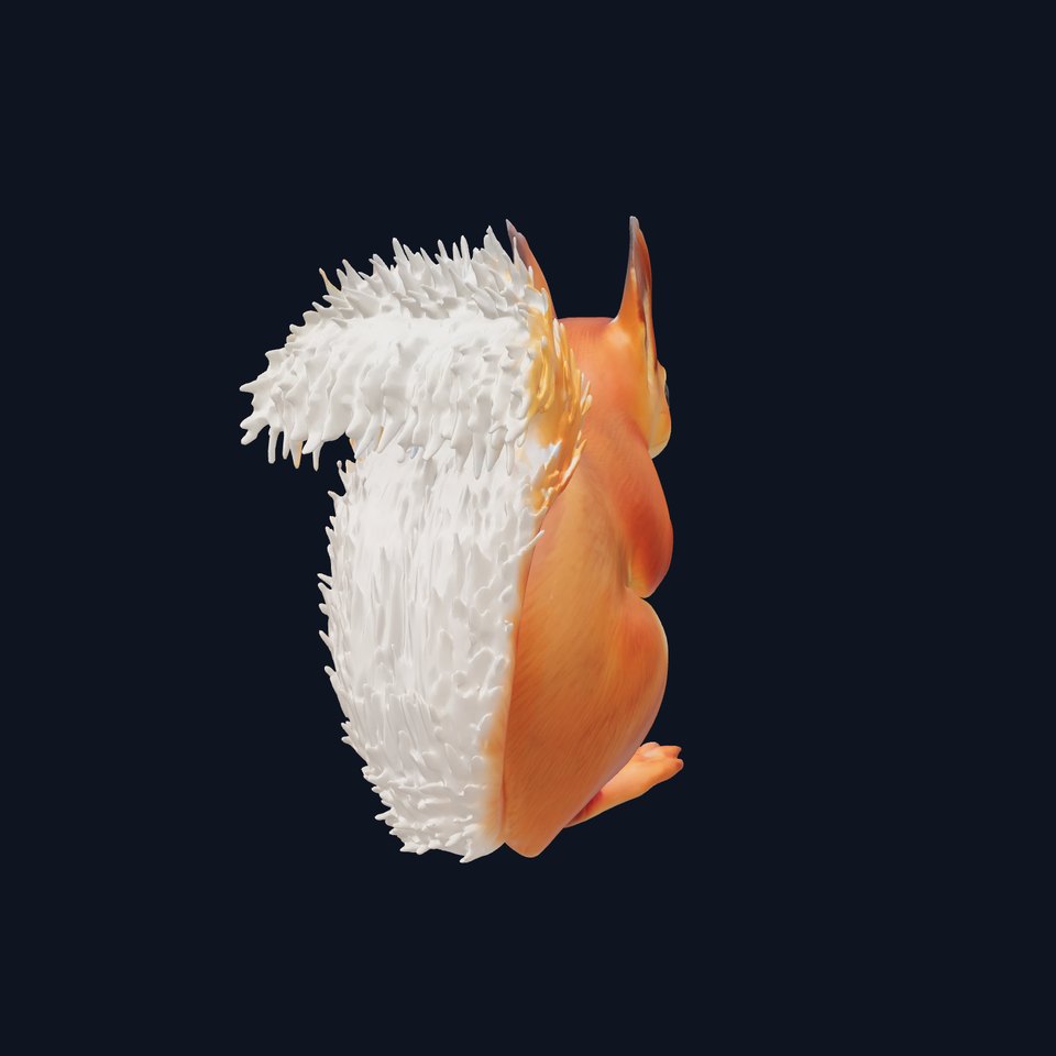 Charming Squirrel model pack viewer poster