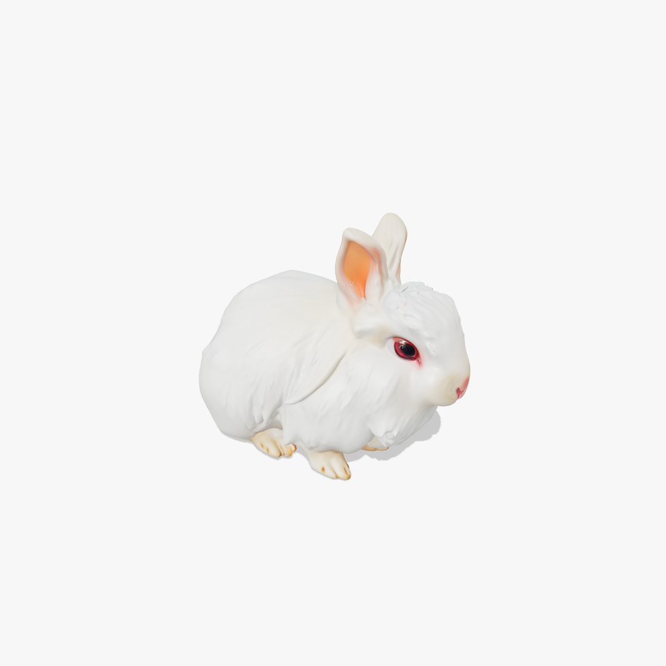 Fluffy White Rabbit model pack viewer poster