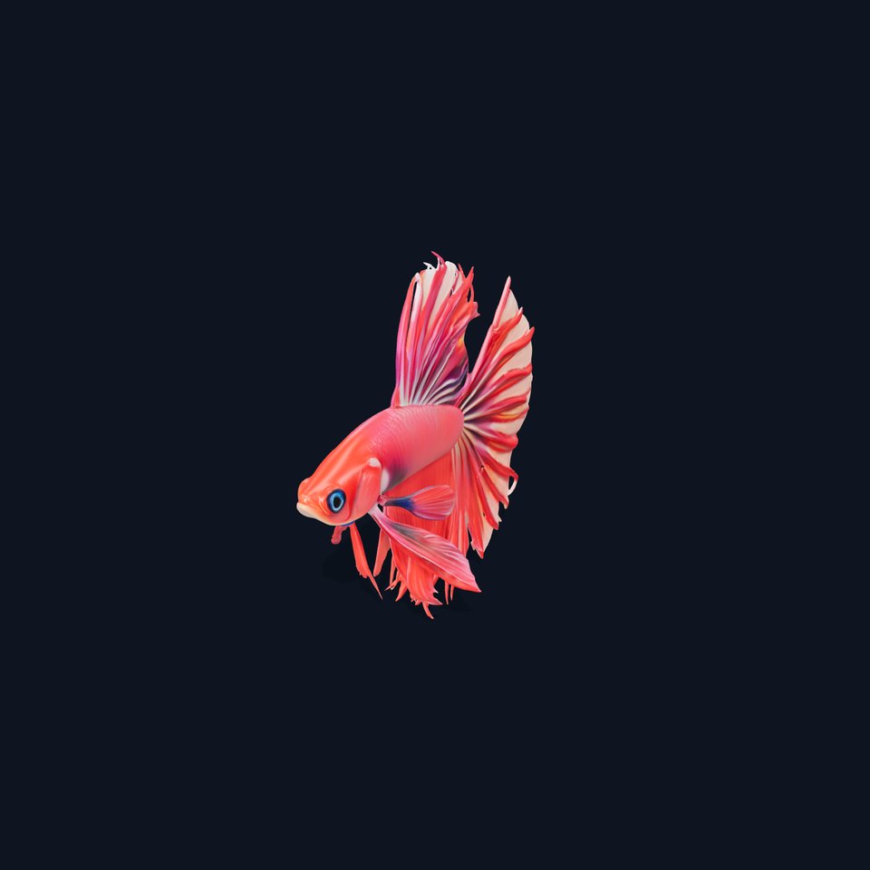 Vibrant Betta Fish model pack viewer poster