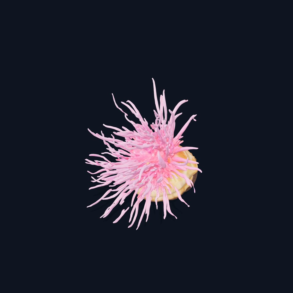 Vibrant Anemone Shell model pack viewer poster