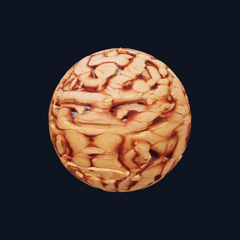 HQ PBR Textures Set Organic Roots Knotty viewer poster