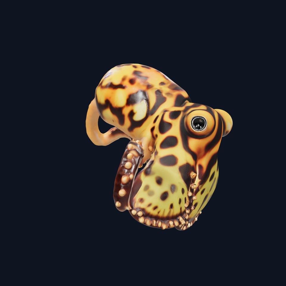 Vibrant Octopus Textured model pack viewer poster