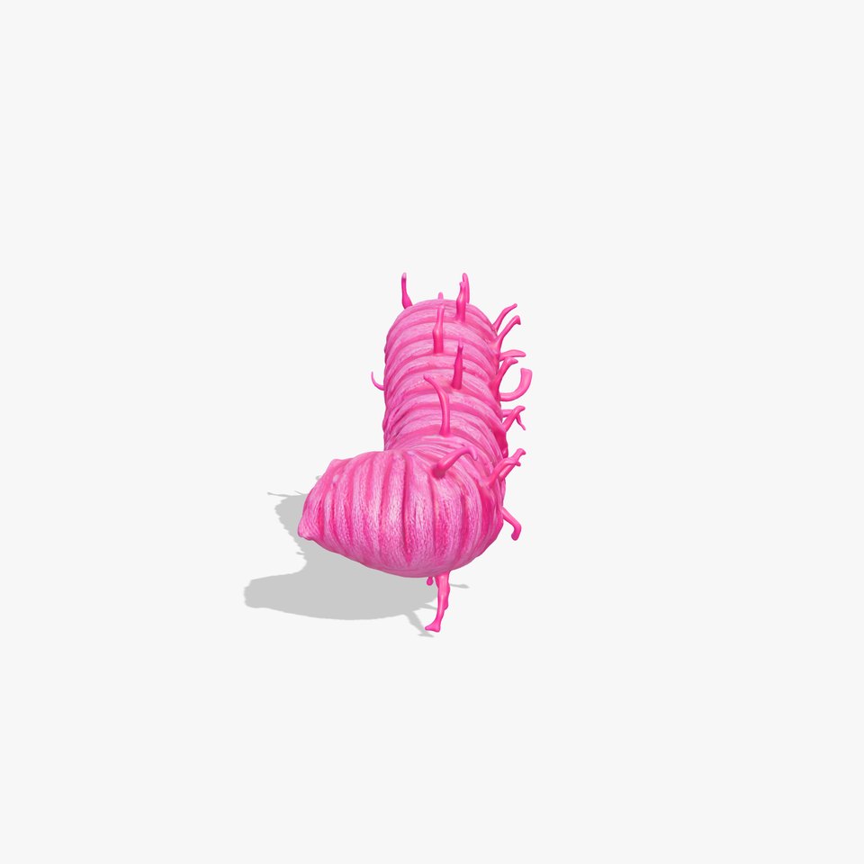 Bright Pink Caterpillar model pack viewer poster