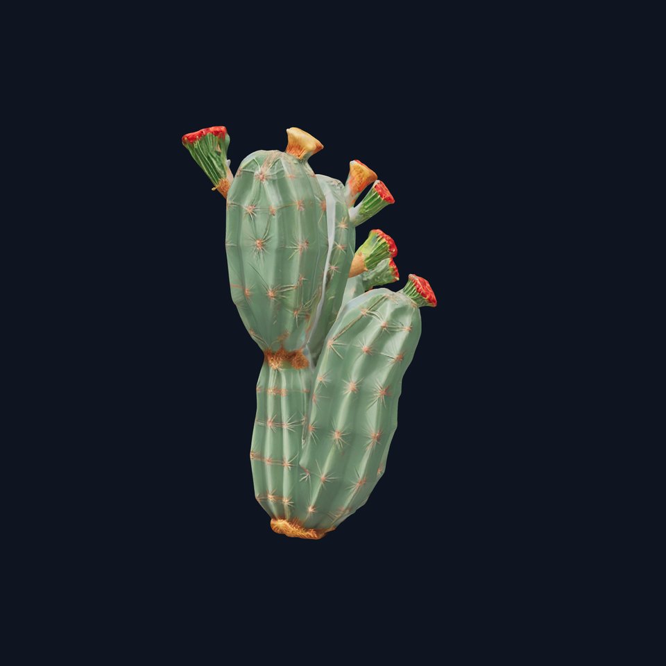 Cactus Blossom model pack viewer poster