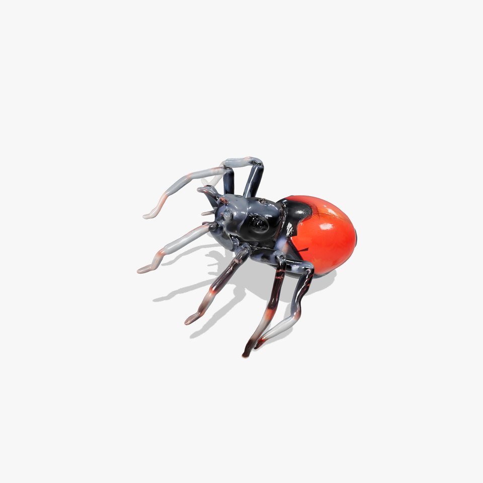 Red Back Spider model pack viewer poster