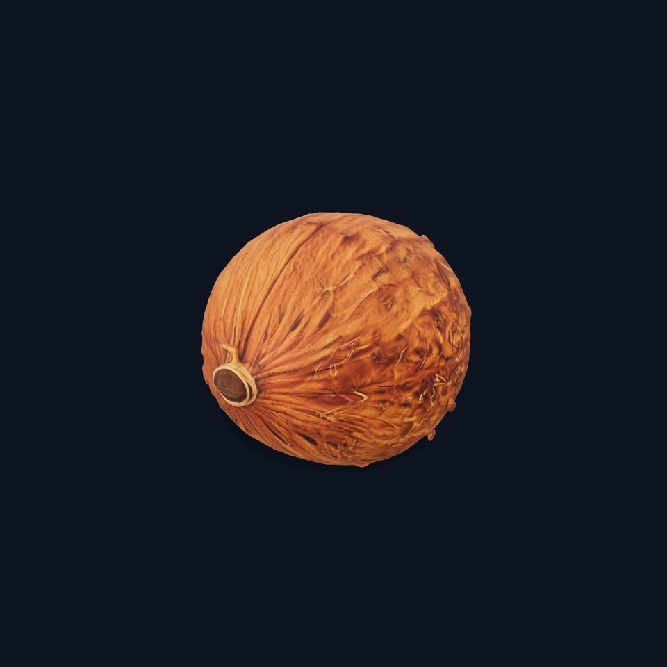 Rustic Coconut model pack viewer poster