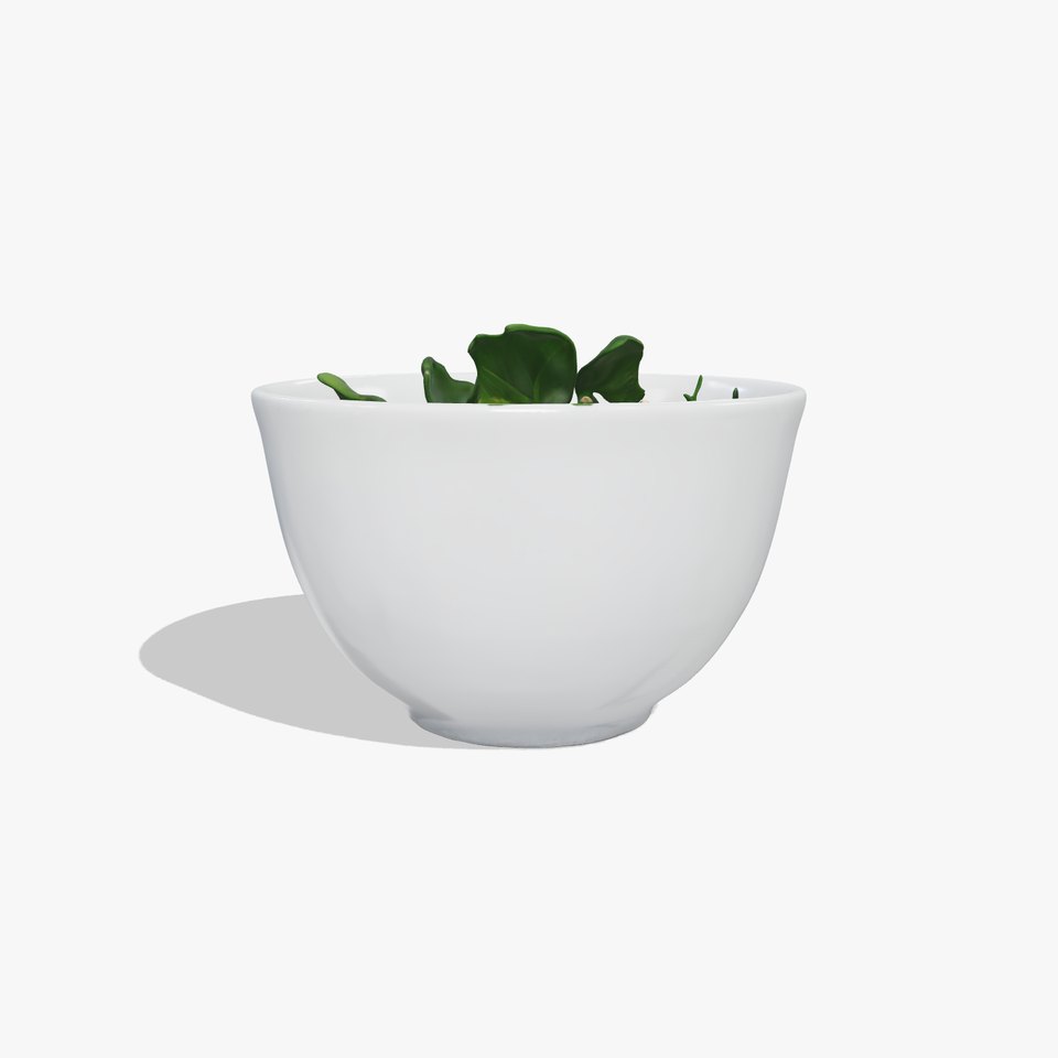 Hearty Soup Bowl model pack viewer poster