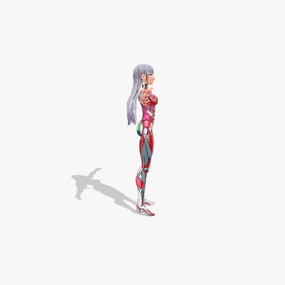 Anatomical Female Figure model pack viewer poster