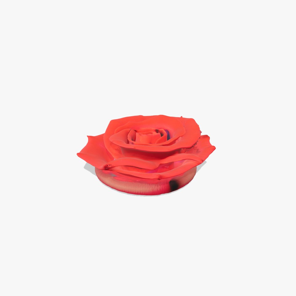 Crimson Rose Blossom model pack viewer poster